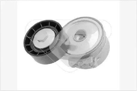 GALET TENDEUR DE COURROIE D ACCESSOIRE HUTCHINSON T0216 Drive Auto Discount
