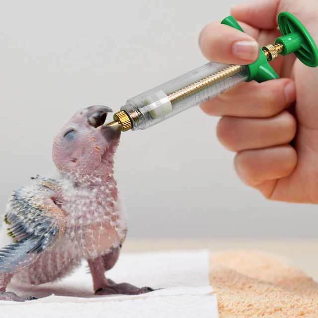 Hose Parrot Feeding Syringe Breast Feeding Baby Bird Feeder Bird Tools 2