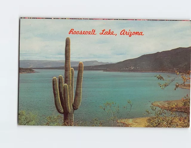 Postcard Roosevelt Lake, Arizona