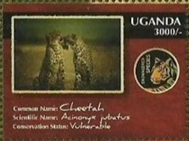 Uganda #SG2610b MNH 2012 Acinonyx jubatus [1952b Mi2821]