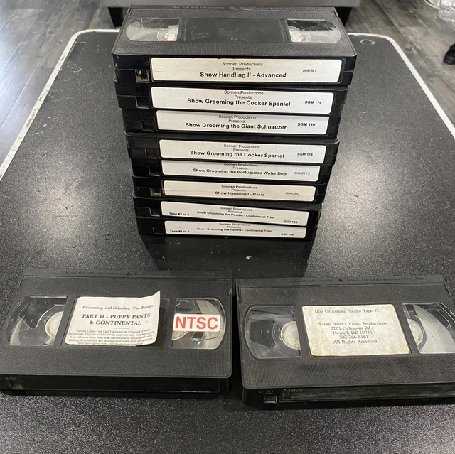 Sonnen Productions Show Grooming DVD Bichon Frise Matt Hughes willing to trade SpongeBob for Chael Sonnen on The