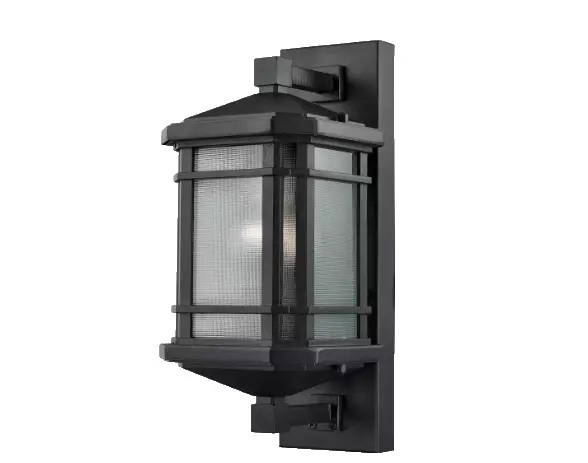 Outdoor, Wall-Mounted Light--Lowell by ELK LIGHTING--#87040/1--DISCONTINUED