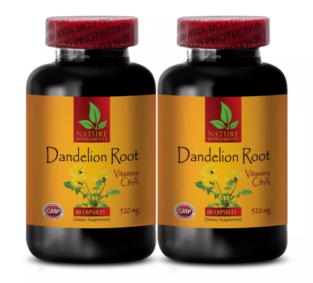 Antioxidant supplement - DANDELION ROOT - dandelion organic herb -2 Bot 120 Caps