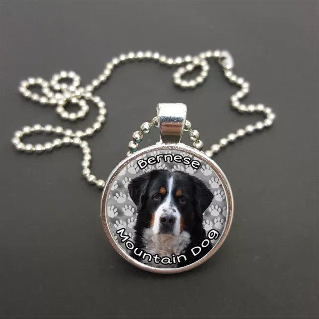 Bernese Mountain Dog & 18" (Or Any Size) Ball Chain Necklace Birthday Gift N188