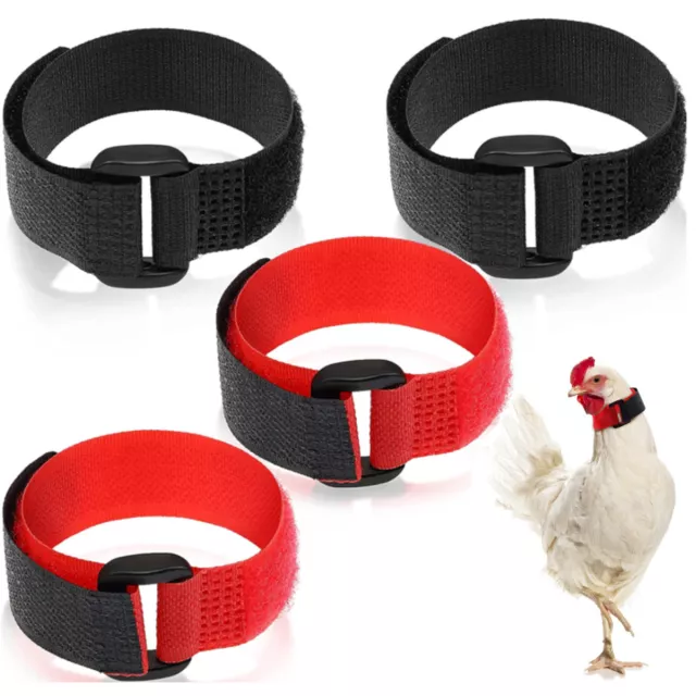 4pcs Anti Crow Collar for Roosters Cockerel poultry No Crow Noise Neck Belt