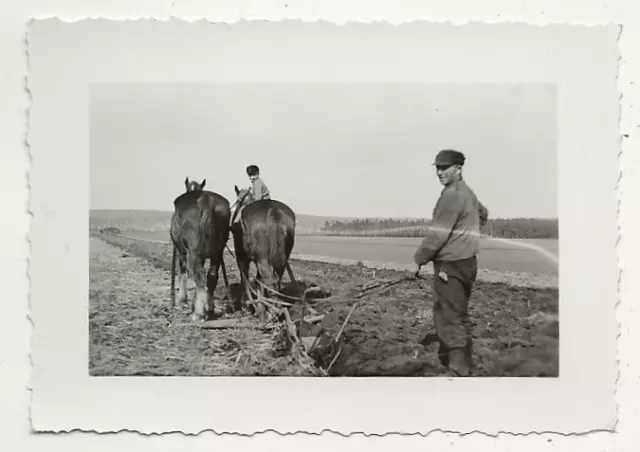 59/443 Foto  - Alte Zeiten -  Beruf Bauer  Pferd Pflug - Atelier Elsterwerda