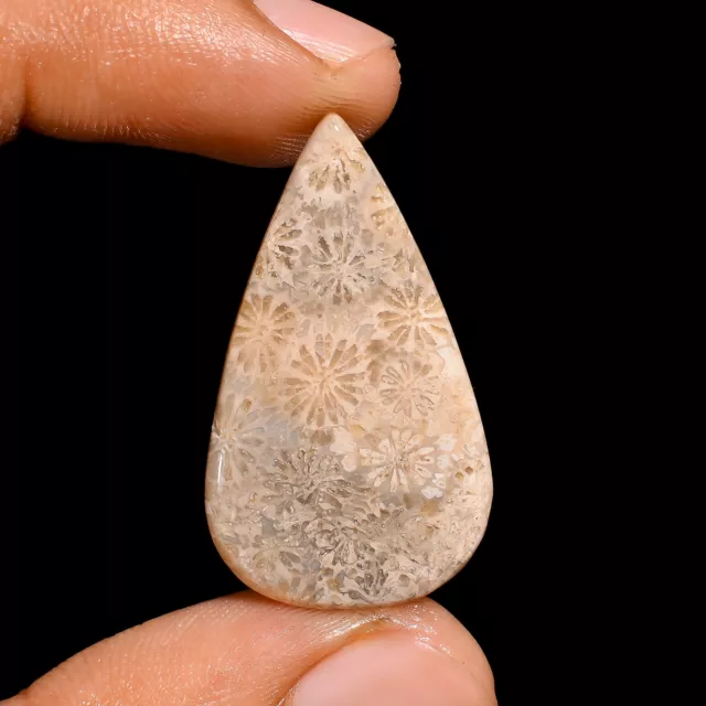 Natural Fossil Coral Pear Shape Cabochon Loose Gemstone 13 Ct. 32X18X3 mm A-1779