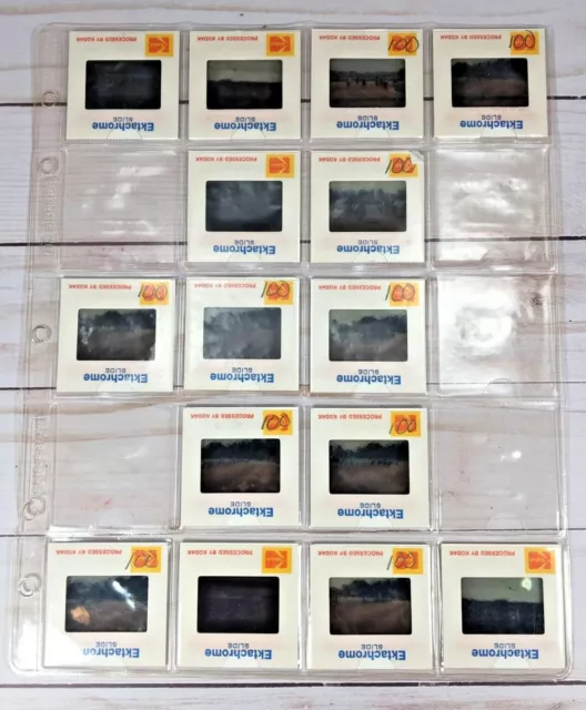15 Keeneland Horse Racing Race Track Kentucky Vintage 1980 Color Kodak Slides