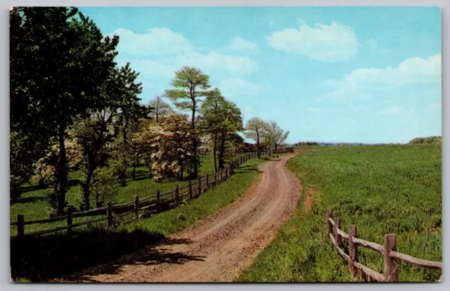 Postal vintage de saludos Amish Country Road Farm Spring Lancaster Pennsylvania