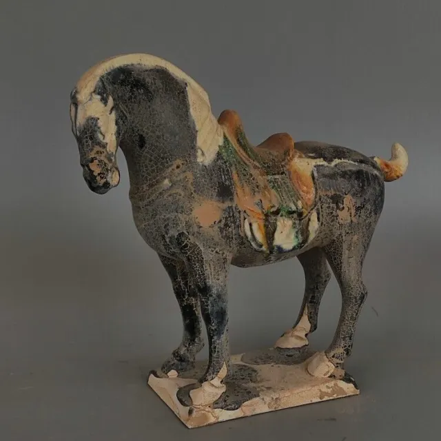 Chinese Tang Tri-Color Glazed Ceramics Black War Horse Porcelain Statue 8.3 inch 2
