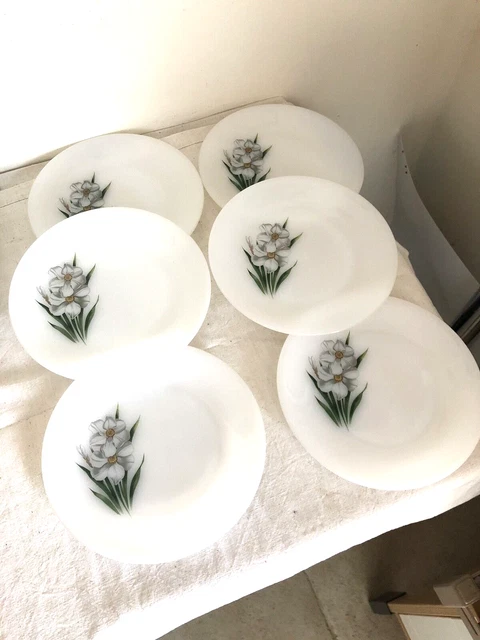 Set de 8 assiettes marrons Arcopal modèle volcan vintage