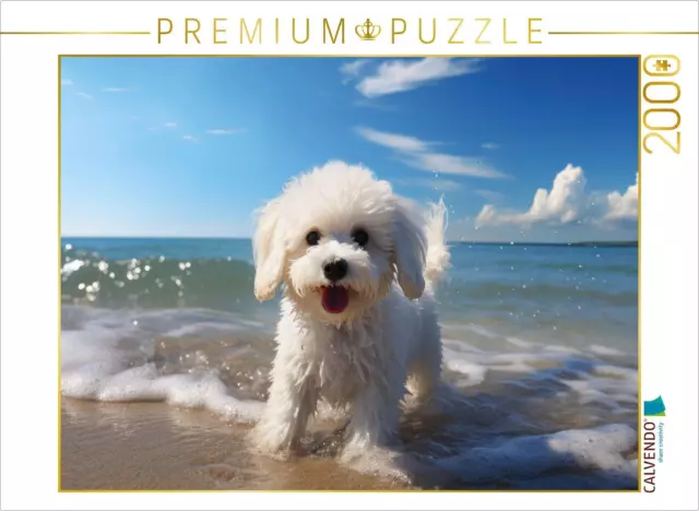 CALVENDO Puzzle Ein Motiv aus dem Kalender "Bichon frisé, weiße Hündchen mit loc