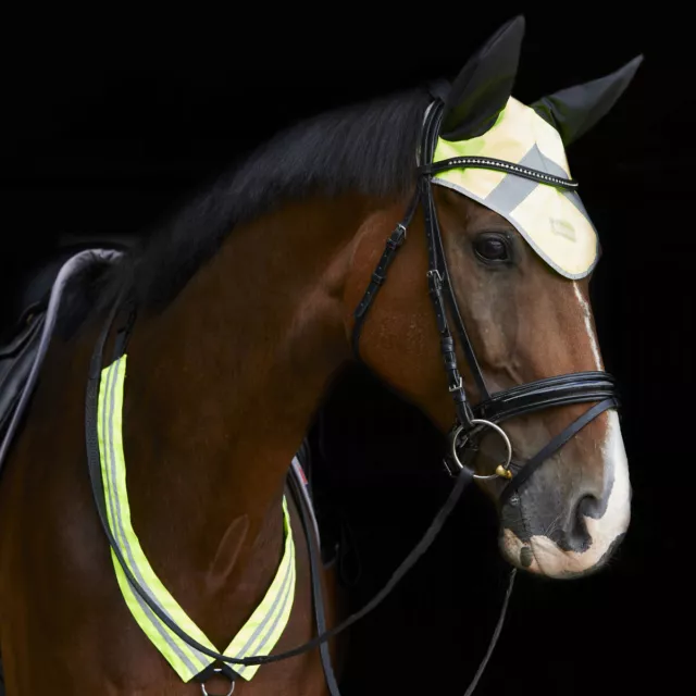 Masta Hi-Viz Horse Fly Veil Yellow