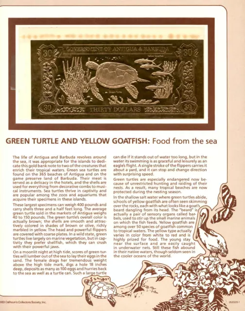 23kt Gold $30 Antigua UNC 1981 Banknote - Green Turtle & Yellow Goatfish - RARE