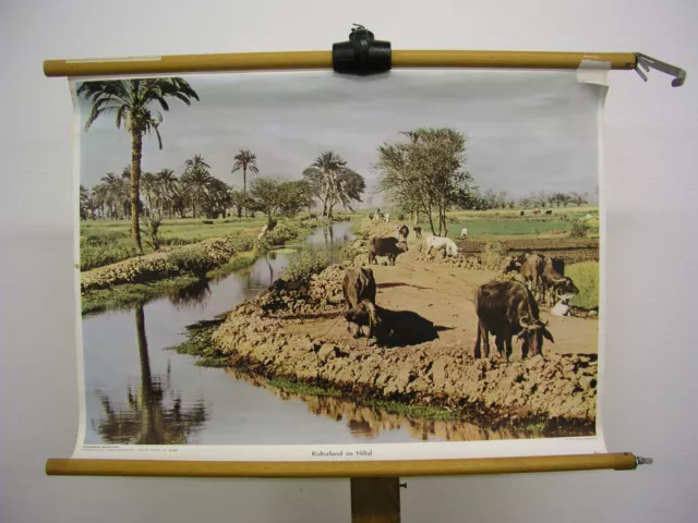Schulwandbild schöne alte Wandkarte Kulturland im Nildelta 70x51cm vintage ~1960