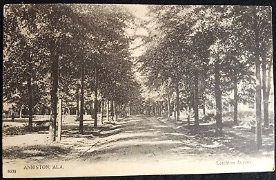 Leighton Avenue Tree Lined Street Anniston Alabama c1900s PKC Series Postcard