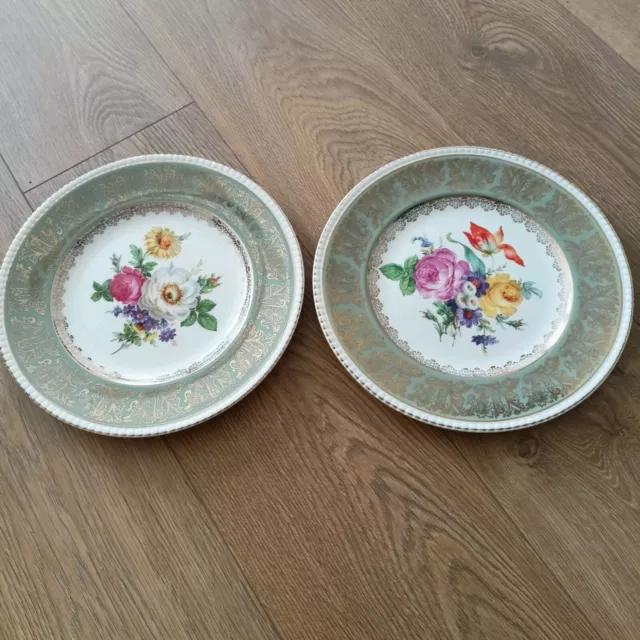 2x Solian Ware Simpsons Potters Dinner Plates Cobridge England 10.5" Flowers