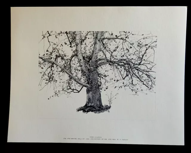 Andrew Wyeth’s “New Leaves” Mint Print 17”x 13” From 1962 Four Seasons Portfolio