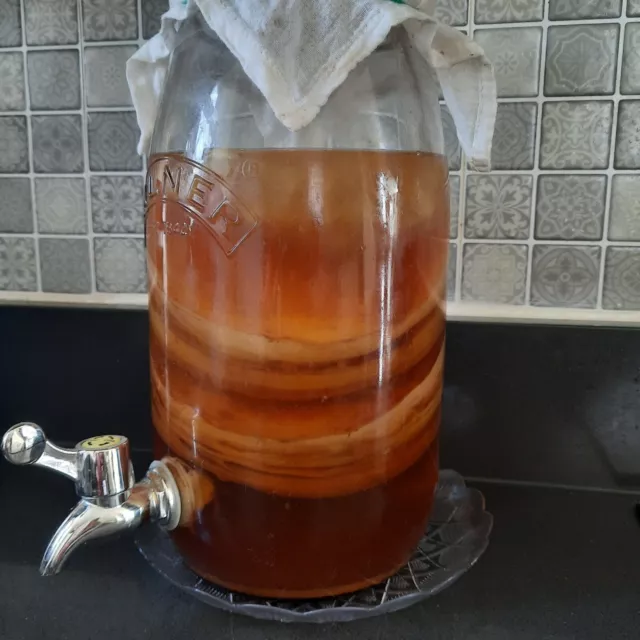 Kombucha XXL  starter pack LIVE SCOBY , Mother and Printed Instructions