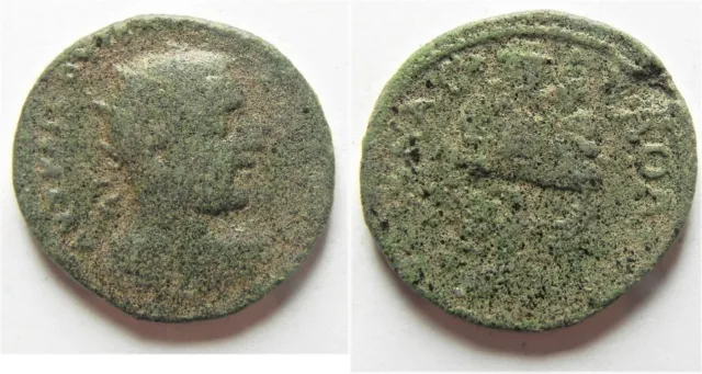 ZURQIEH -aa4178- Neapolis, Samaria: Trebonianus Gallus, 251 - 253 AD. AE 21