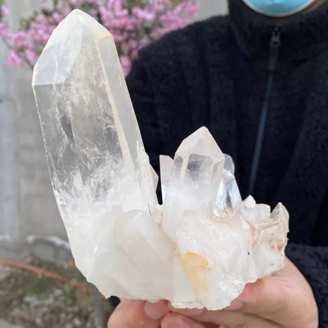 1.8lb Large Natural Clear White Quartz Crystal Cluster Rough Healing Specimen