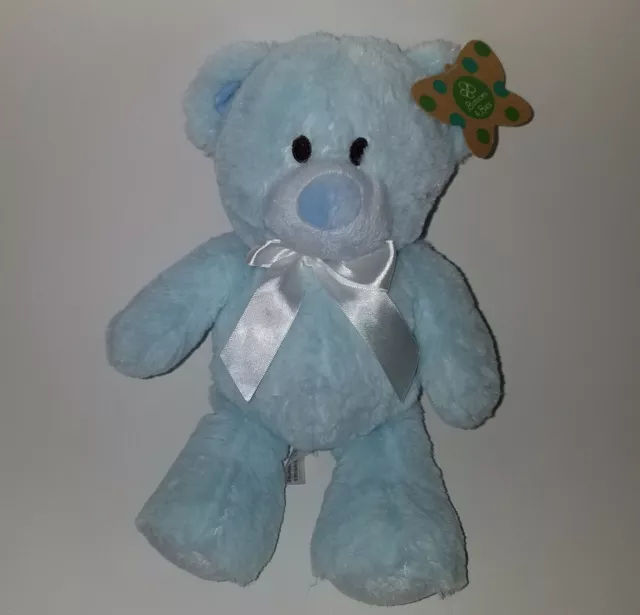 NEW  My First Teddy Bear Plush 12" Lovey Toy Baby Boy Blossoms & Buds Evergreen