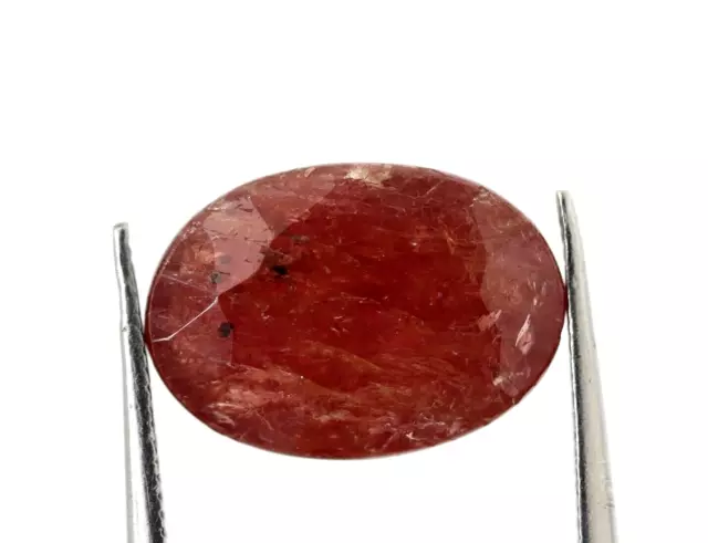 Natural Red Ruby Oval Cut Unheated Africa Mined Faceted Gemstone 2.69 Ct 10x7 MM