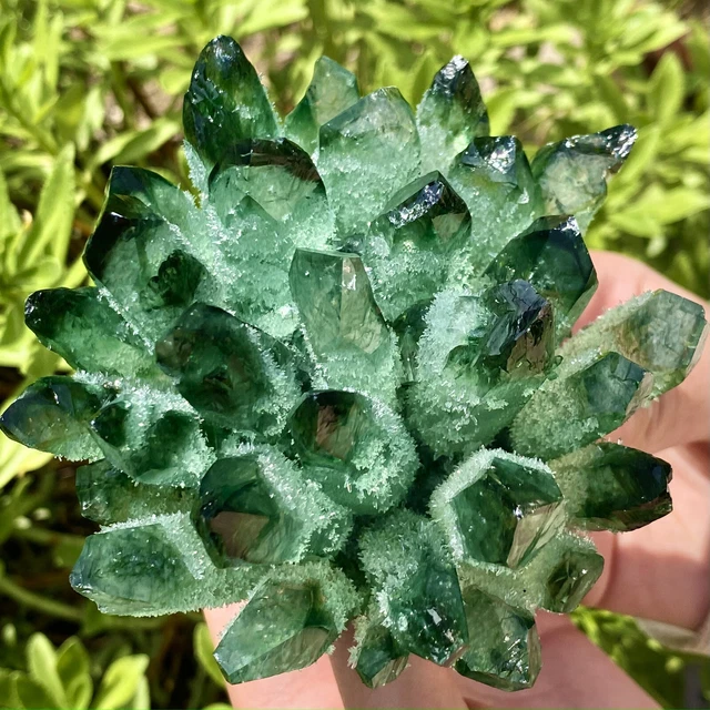 1.19LB New Find Green Phantom Quartz Crystal Cluster Mineral Specimen Healing