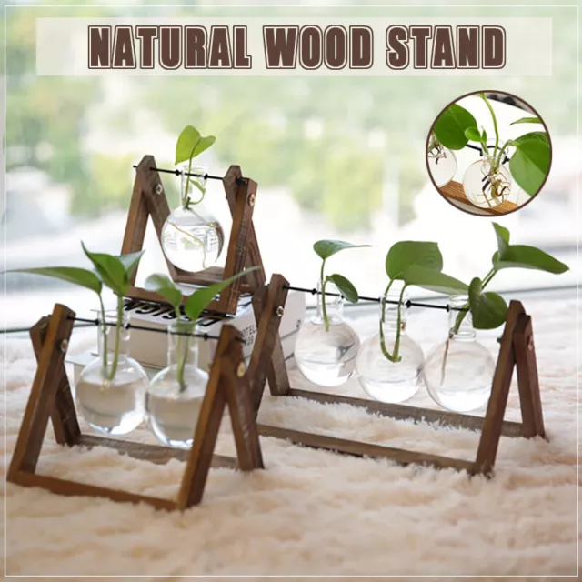 Wooden Stand Hanging Glass Vase Terrarium Hydroponics Container Pot Decor AU