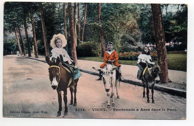 Thème ANES Donkey - Promenade à Anes - VICHY allier - Promenade au Parc Couleur