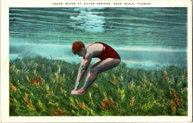 Under Water Swimming at Silver Springs Ocala FL Vintage Postcard E09