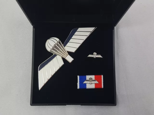 (C3) Fallschirmjäger Niederlande Holland Springerabzeichen Abzeichen SET im Etui 2