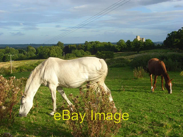 Photo 6x4 Horses, Donnington Newbury Grazing at Castle Farm. The castle a c2008