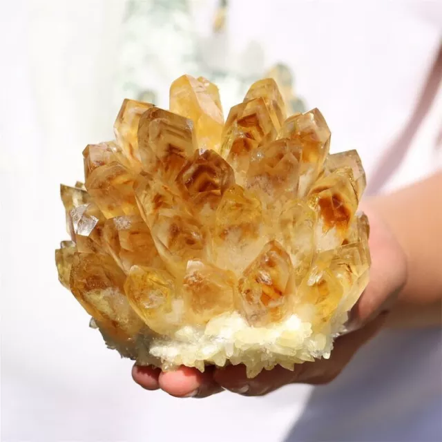 New Find Yellow Phantom Quartz Citrine Crystal Cluster Mineral Specimen Healing