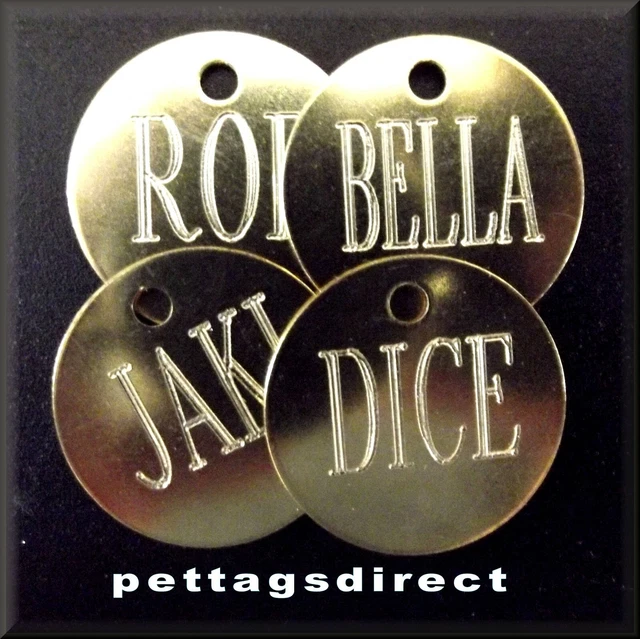 GRABADAS Etiquetas Gato y Perro Nombre de Mascota (x 6) Caballo/Pony Tack DISCO PERSONALIZADO BARATO
