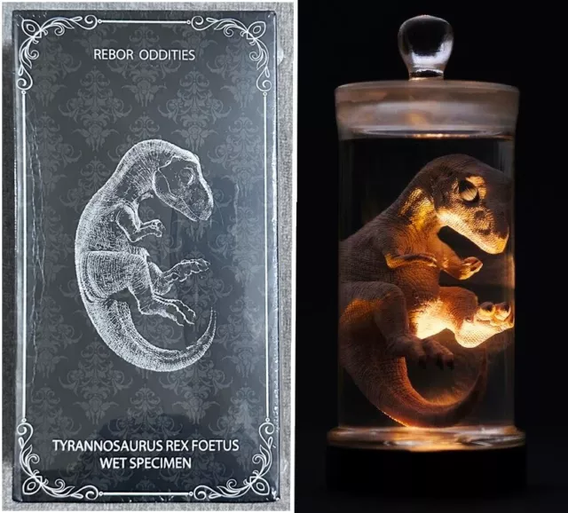 Rebor Oddities Tyrannosaurus T-REX Foetus Wet Specimen with Lighted Display Base