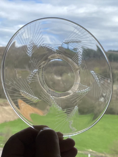 ￼Magnífico Plato Lalique Epi Trigo Arras French Lalique