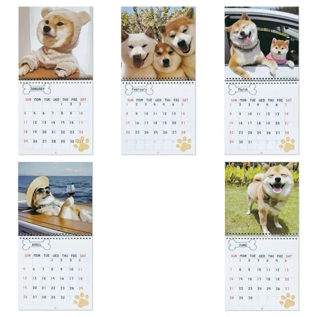 2026 CREATIVE ILLUSTRATION Calendar Art Paper Printing Wall Hanging ...