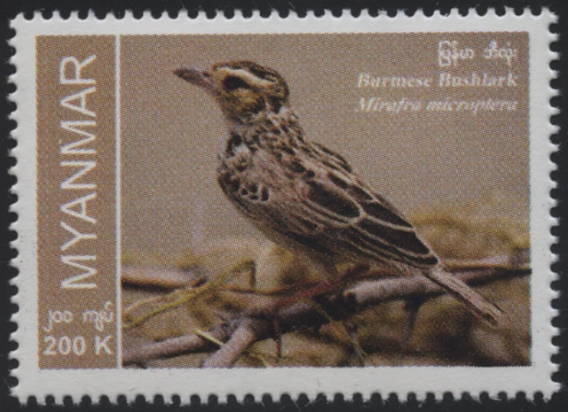 Myanmar Burma 2023 "Einheimische Vogelarten" Burmalerche, MiNr neu