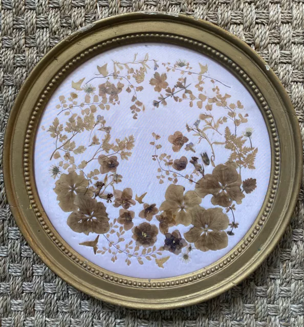 ANTIQUE early C19th giltwood and gesso circular frame with later pressed flowers