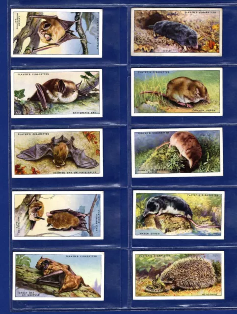 Players ( Channel Islands ) 1939 Animals Of The Countryside Cig Cards Full Set 2