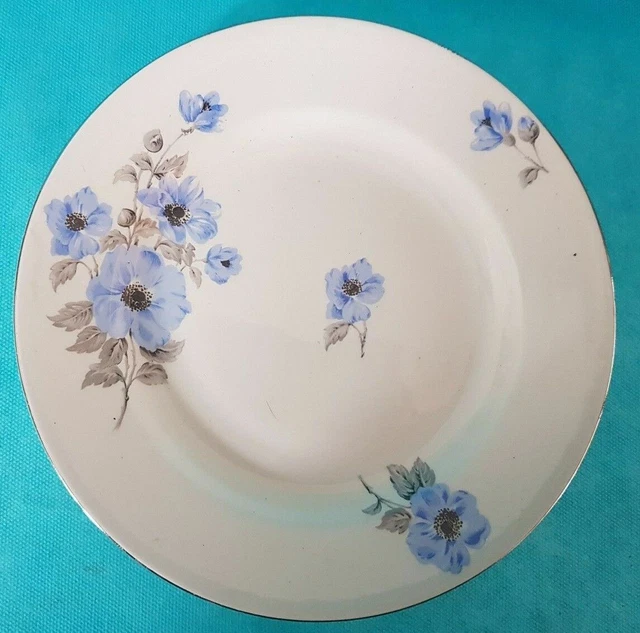 Assiette plate en céramique de Saint Amand (Ref 7689)