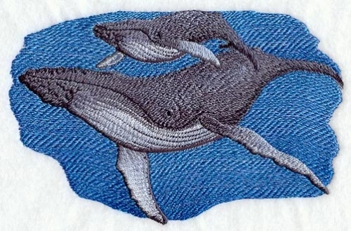 Embroidered Short-Sleeved T-Shirt - Humpback Whale & Baby C3916 Sizes S - XXL