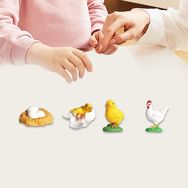 Corde de poulet réglable avec laisse Corde respirante confortable pour animaux de compagnie