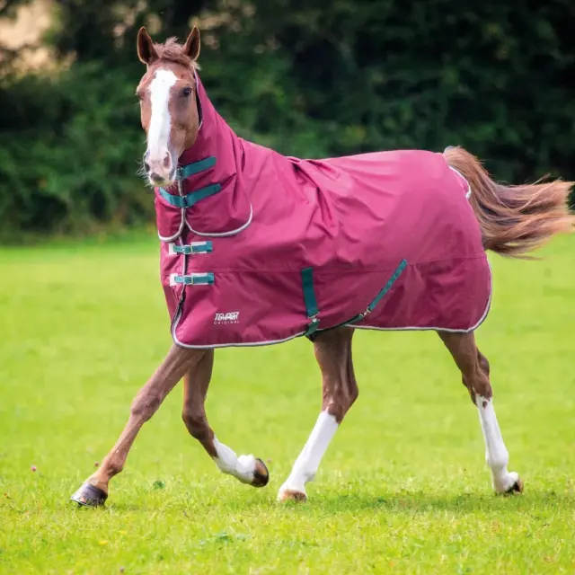 Shires Tempest Original 200g Turnout Combo