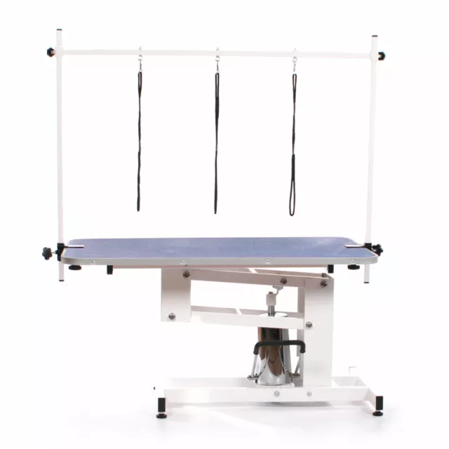 Pedigroom Large Professional Heavy Duty Hydraulic Dog Grooming Table H Bar blue