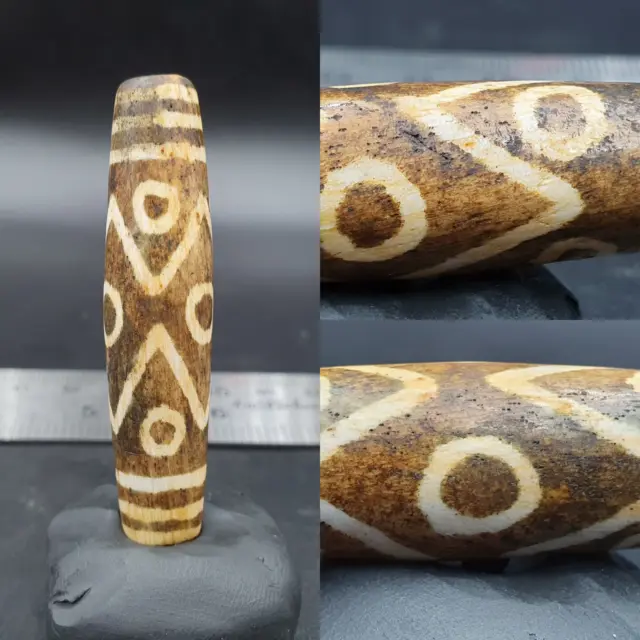 South Asian Burmese 53mm Old 9 eyes Pumtek petrified Wood Bead Unique pattern