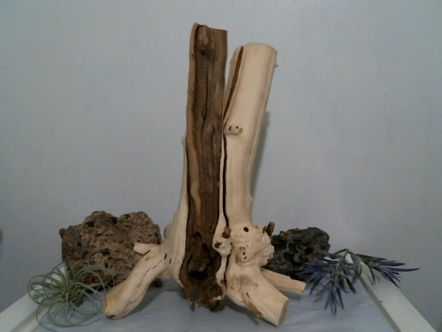 driftswood aquarium terrarium 11x15" natural stump decor