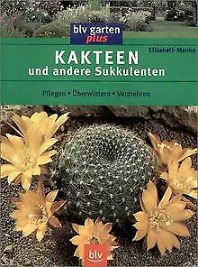 Kakteen und andere Sukkulenten: Pflegen, Überwinter... | Buch | Zustand sehr gut