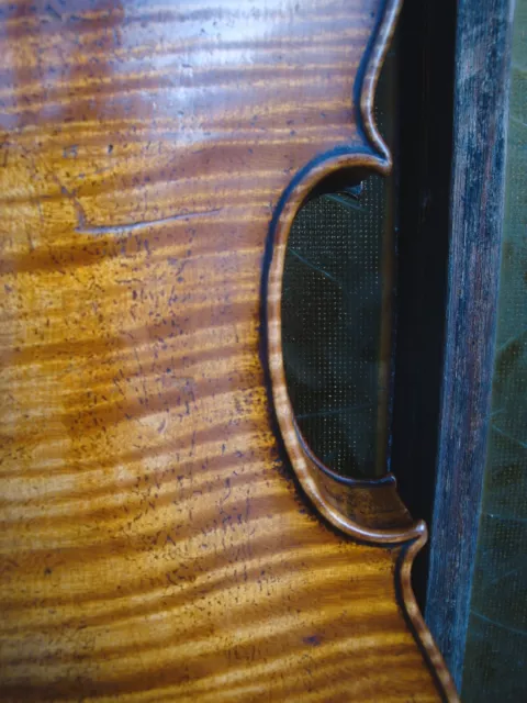 Rare old violin ~ 1780 - Alte Geige